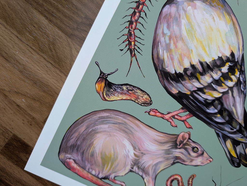 Vermin Illustration, Pigeon Artwork, Rat Mouse Insect Painting, Goblincore Art, Household Pest Home Décor, A4 Print