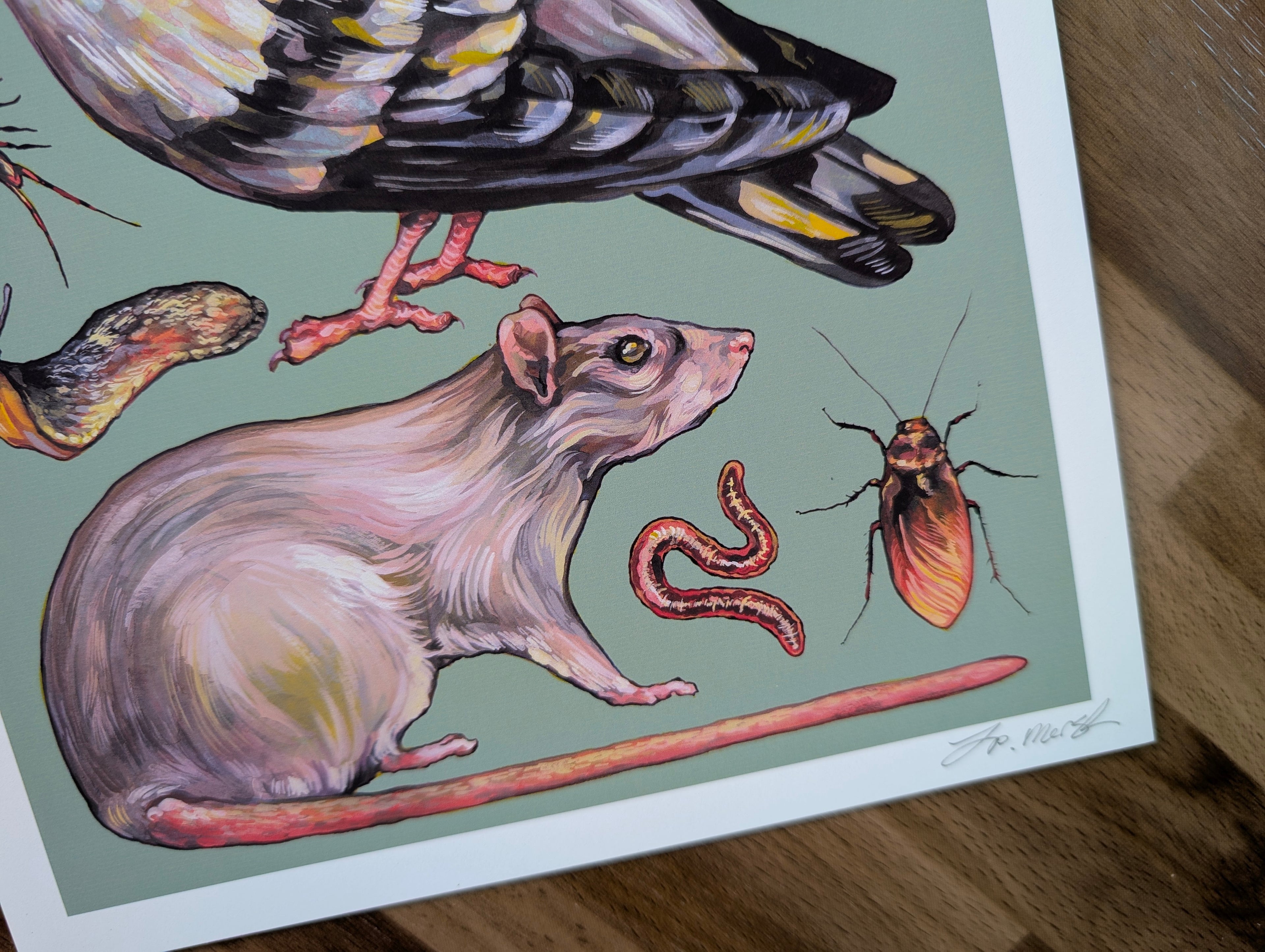 Vermin Illustration, Pigeon Artwork, Rat Mouse Insect Painting, Goblincore Art, Household Pest Home Décor, A4 Print