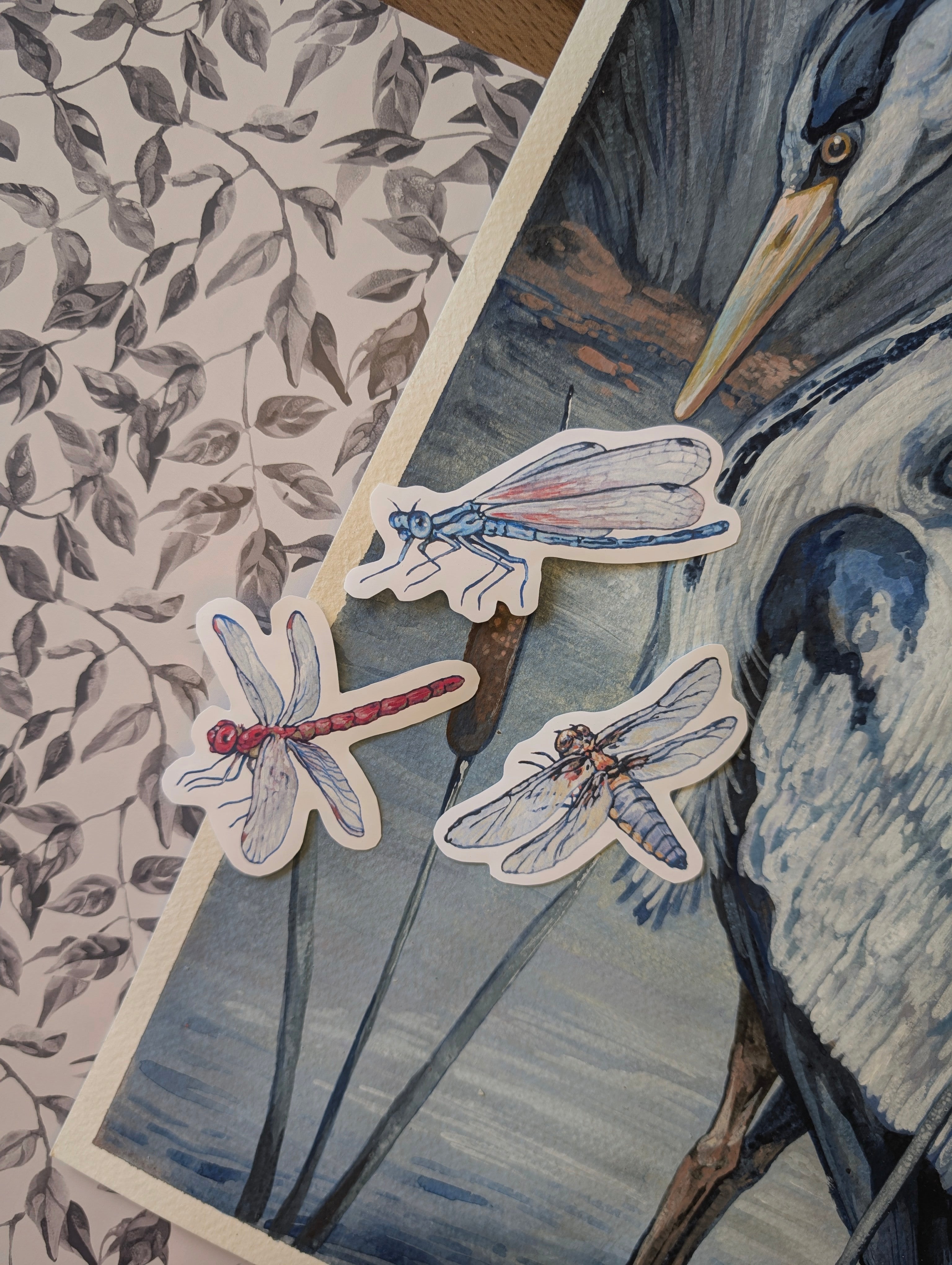 The Zoologist Print Club, Snail Mail