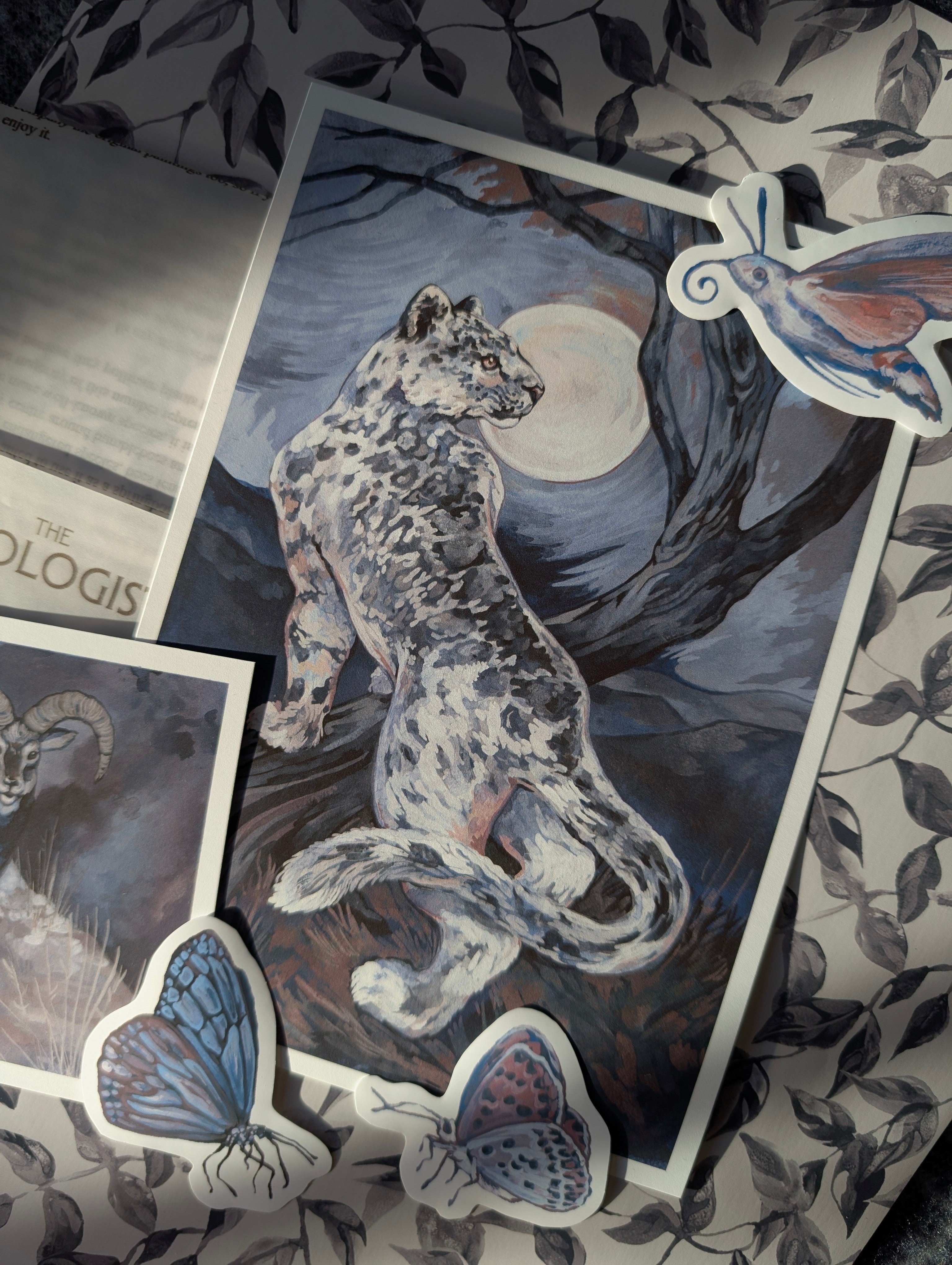 The Zoologist Print Club, Snail Mail