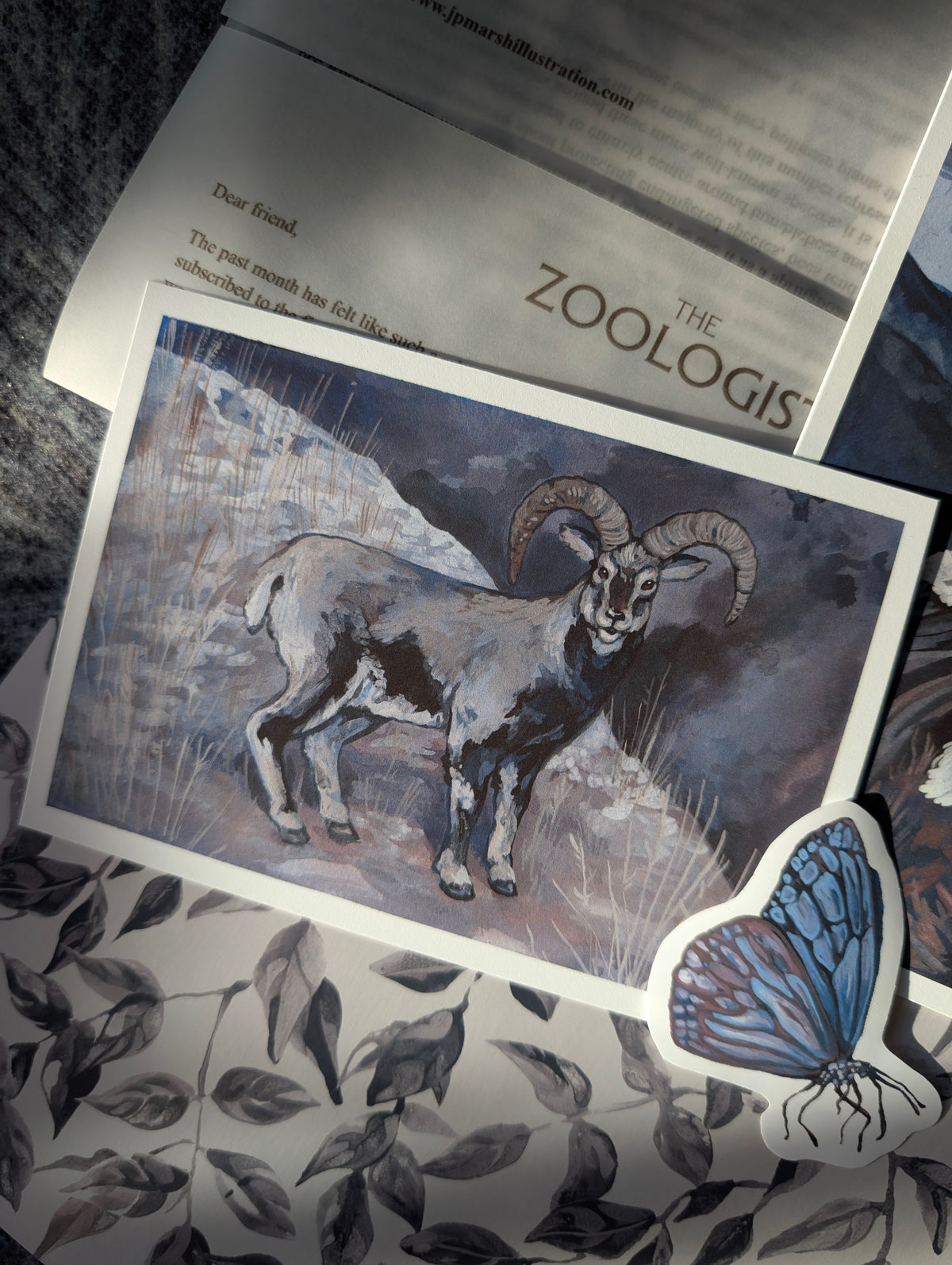 The Zoologist Print Club, Snail Mail