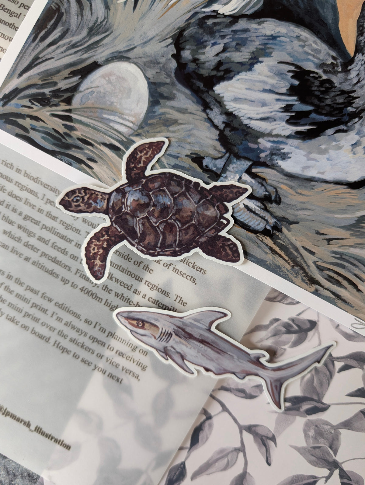 The Zoologist Print Club, Snail Mail
