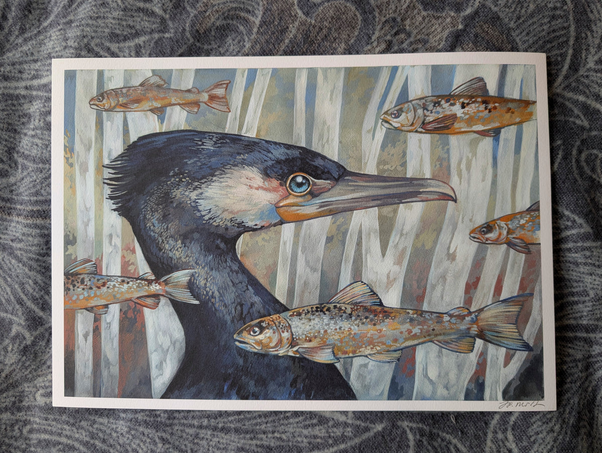 Cormorant & Fish, Coastal Wildlife A3 Art Print