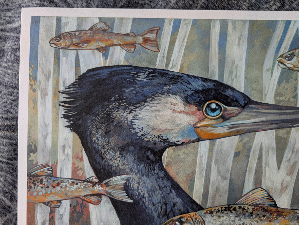 Cormorant & Fish, Coastal Wildlife A3 Art Print