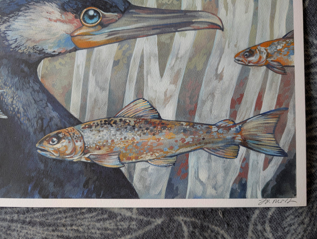 Cormorant & Fish, Coastal Wildlife A3 Art Print