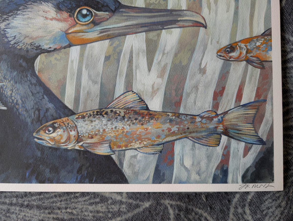 Cormorant & Fish, Coastal Wildlife A3 Art Print