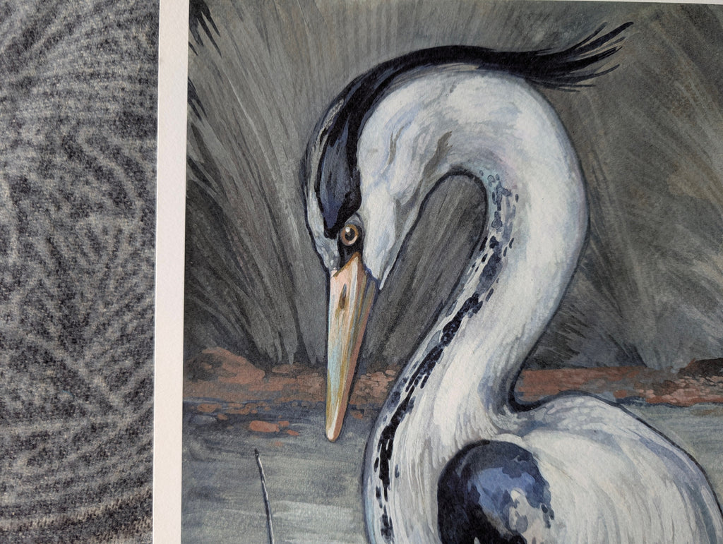 Grey Heron , British Birds Illustration, A3 Print