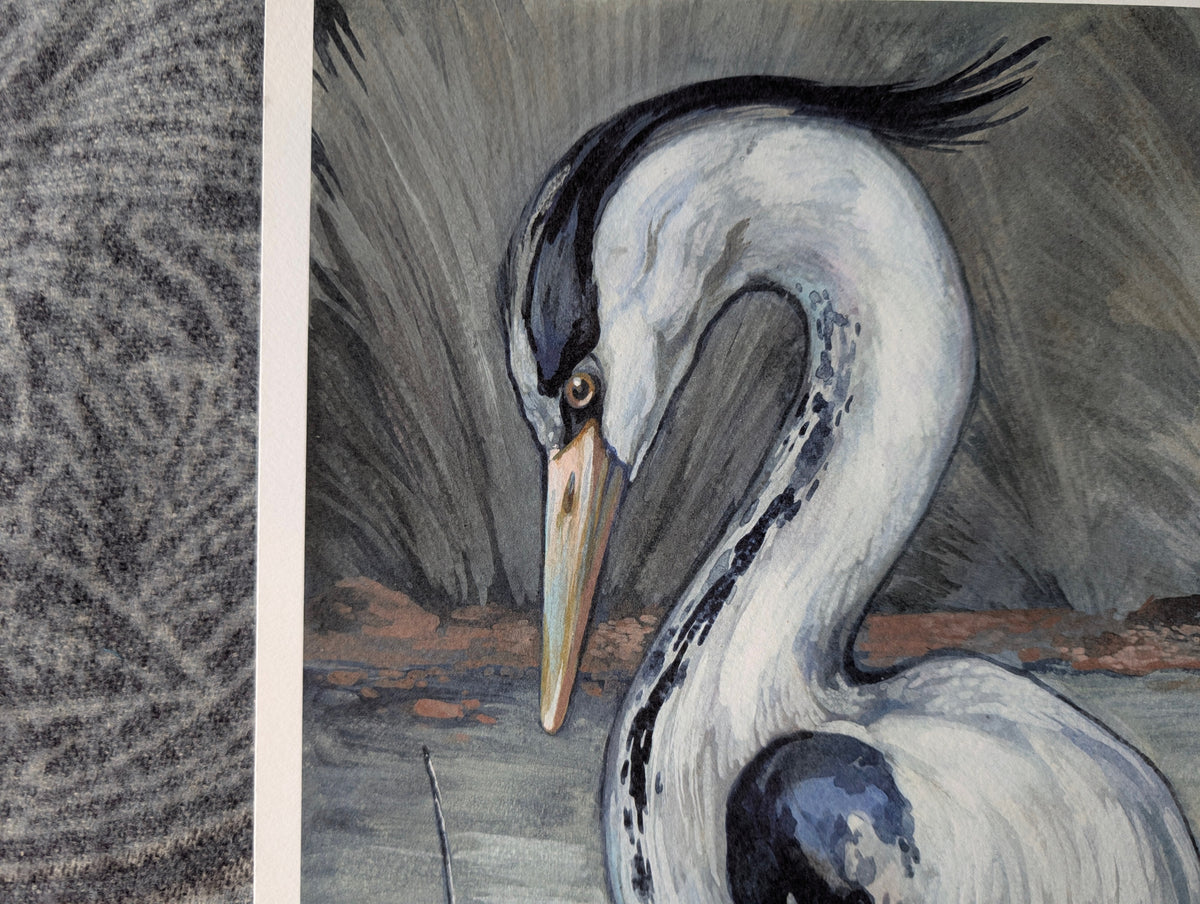 Grey Heron , British Birds Illustration, A3 Print