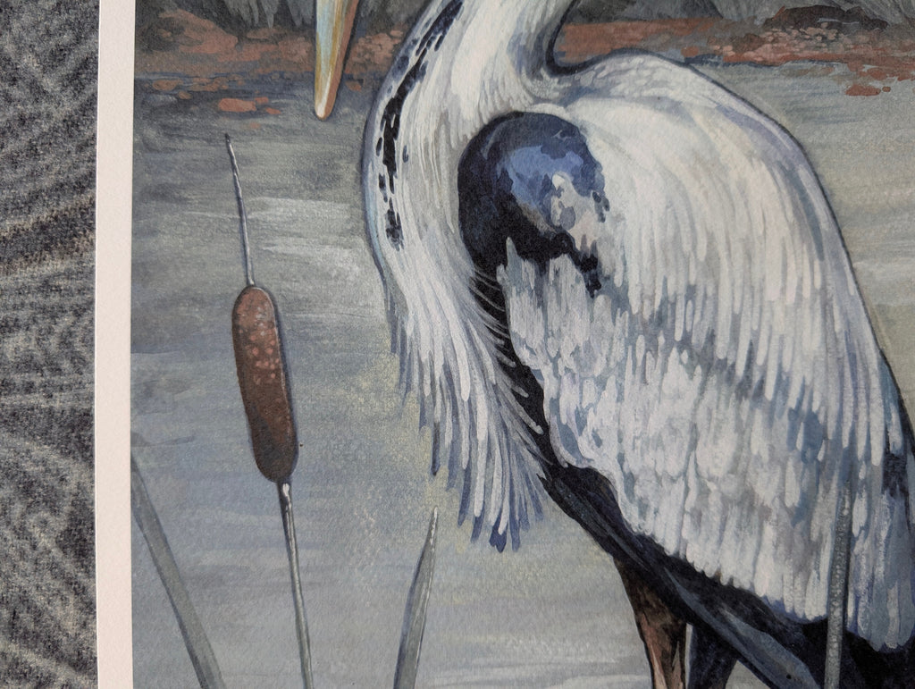 Grey Heron , British Birds Illustration, A3 Print