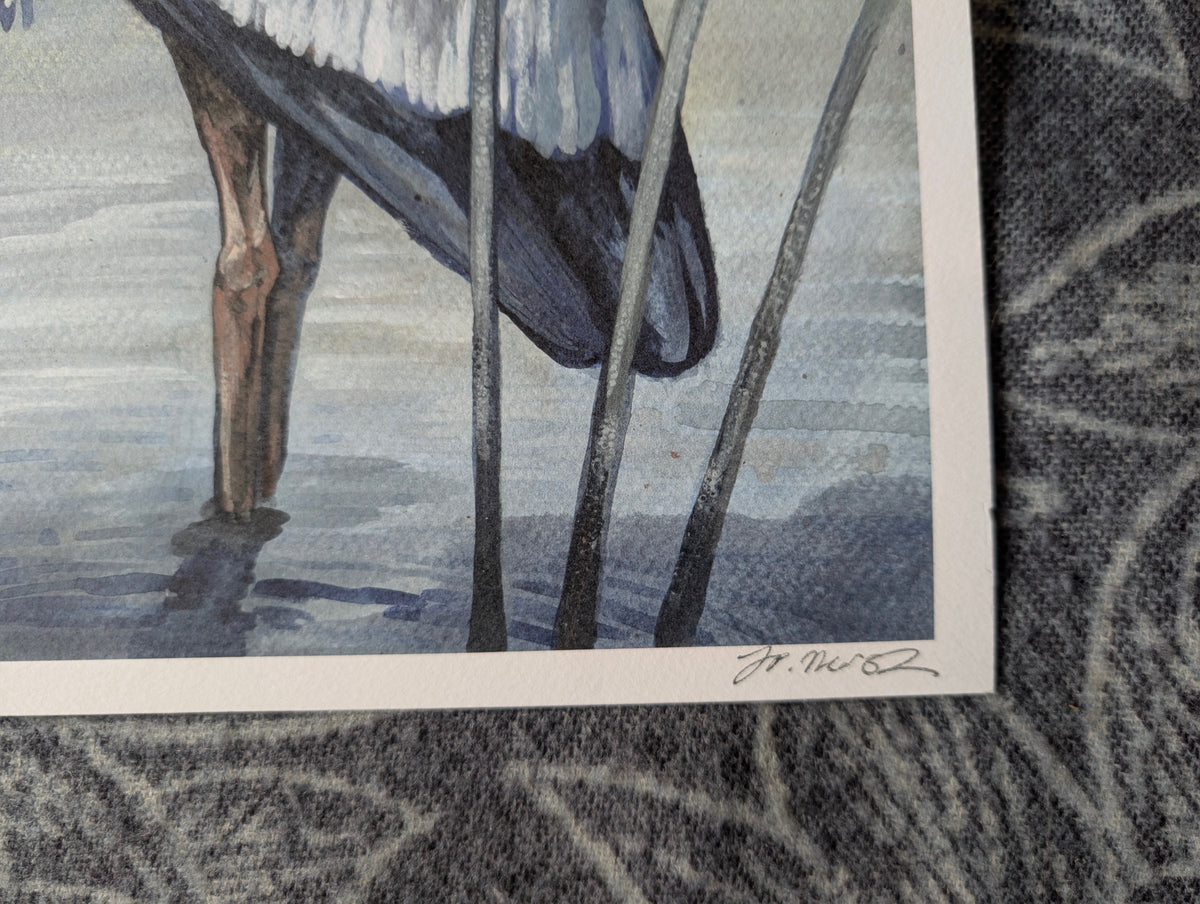 Grey Heron , British Birds Illustration, A3 Print