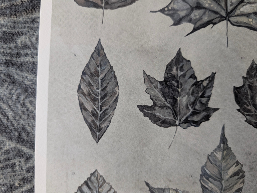 British Botanical Art Print, Leaves of Britain Natural History Wall Art, A3 Print