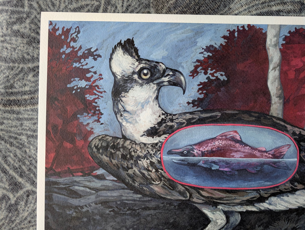 Osprey & Salmon Illustration, Bird of Prey Artwork, A3 Print