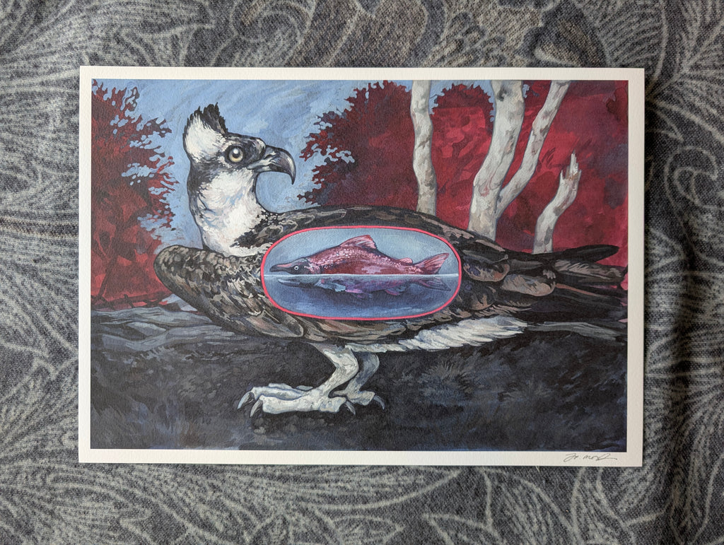Osprey & Salmon Illustration, Bird of Prey Artwork, A3 Print