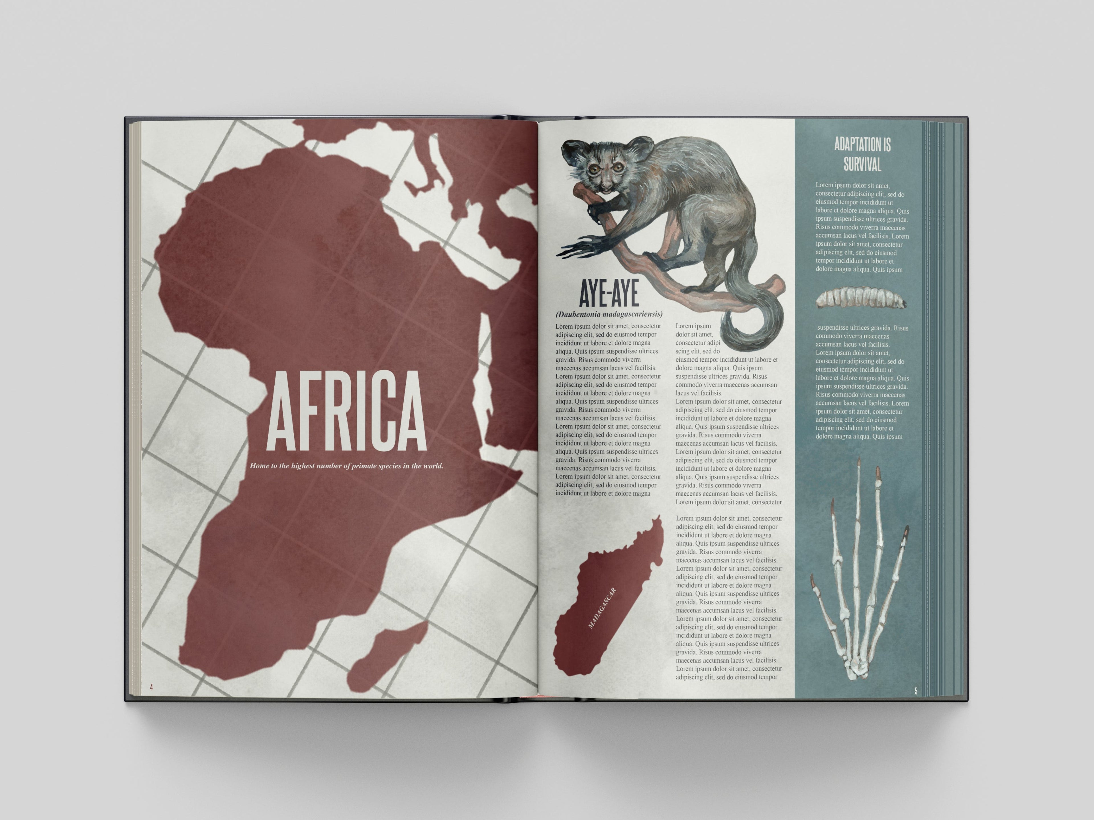 Open book showing a map of Africa and illustrations on a light gray background