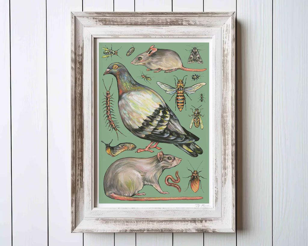 Framed artwork with illustrations of a pigeon, rats, and insects on a green background.